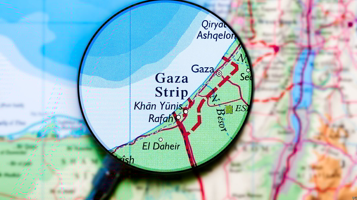 Starving Gaza? Or starving the truth?: Tim Flack