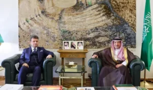 Vice Foreign Minister Meets North Macedonia’s Non-Resident Ambassador