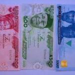Poor Production Quality Responsible For Quick Mutilation Of Naira Notes – Expert