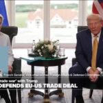 ‘EU has a lot to lose’: US-EU trade deal with Trump counter to ‘what EU should be standing for’