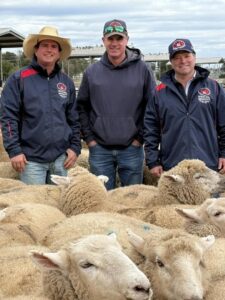 National lamb price reaches new record, but could go higher