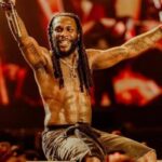 I could be committing fraud or stealing oil if not for music – Burna Boy