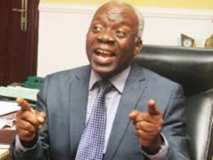 Criminals, touts now in charge of politics in Nigeria — Falana