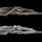 Scientists reconstruct the tattoos of a 2,000-year-old Siberian ice mummy