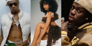 Africa’s most-watched artists on YouTube Music