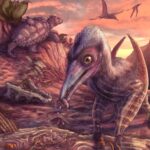North America’s Oldest Flying Reptile Found in Arizona