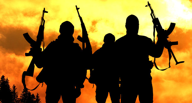 Residents flee as gunmen hit Benue community in fresh