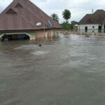 Buildings collapse as flood takes over streets in Borno
