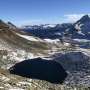 Unexpected survival strategies of plankton in alpine lakes have global relevance