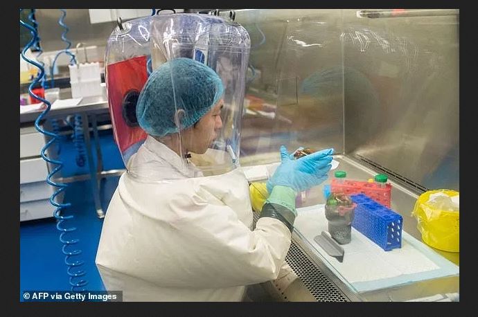New Chikungunya Outbreak Hits China: Over 7,000 Cases Reported in Guangdong as Authorities Revive Covid-Era Containment Measures