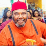 Igbo men not good politicians, are not used to treachery – Pete Edochie