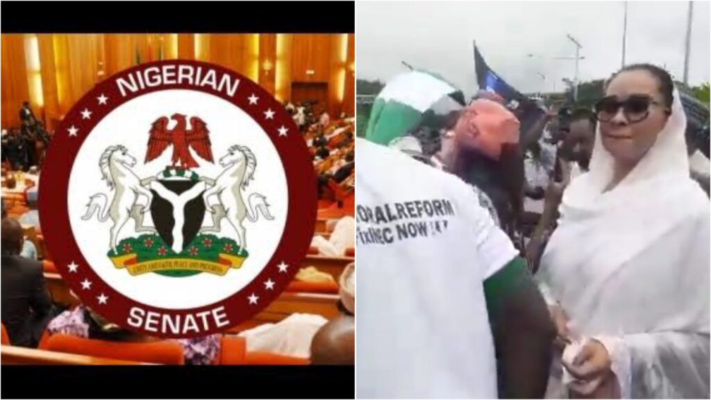 BREAKING: Now a ‘Seasonal Film’ – Senate Breaks Silence on Natasha’s Resumption Attempt