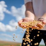 US biofuel proposal may tighten Asia’s soy supply