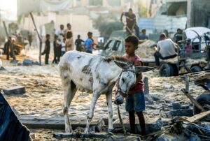 Every child is our child: Gaza and the death of global conscience