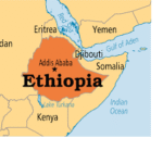 Green Legacy: Ethiopia Plants Over 103 Million Tree Saplings