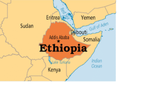 Green Legacy: Ethiopia Plants Over 103 Million Tree Saplings