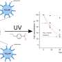 Emulsion technology can purify wastewater with sunlight and droplets of oil