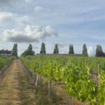 I’m American — my first trip to an English vineyard was nothing like I expected