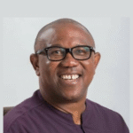 I’m Not Associated With Thuggery, Rigging —Peter Obi