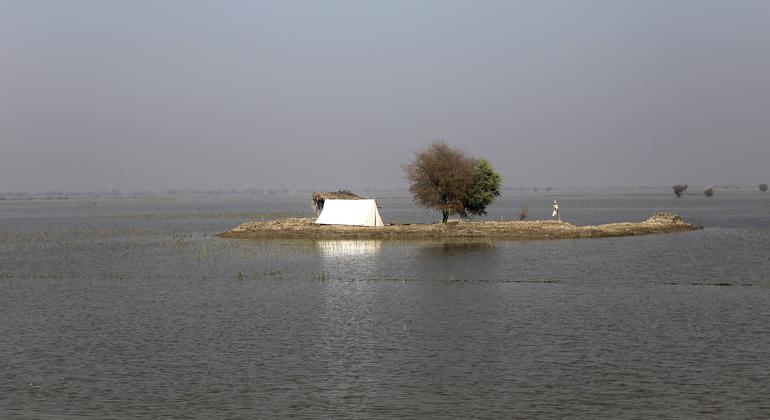Pakistan Monsoon Deluge: Death Toll Climbs | Mirage News