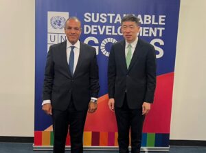 Egypt and UNDP Push for International Conference on Gaza Recovery