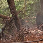 Ghana declares three-day period of national mourning following deadly crash
