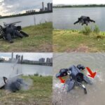 DIY engineer 3D-prints a robot that can fly, swim, and walk