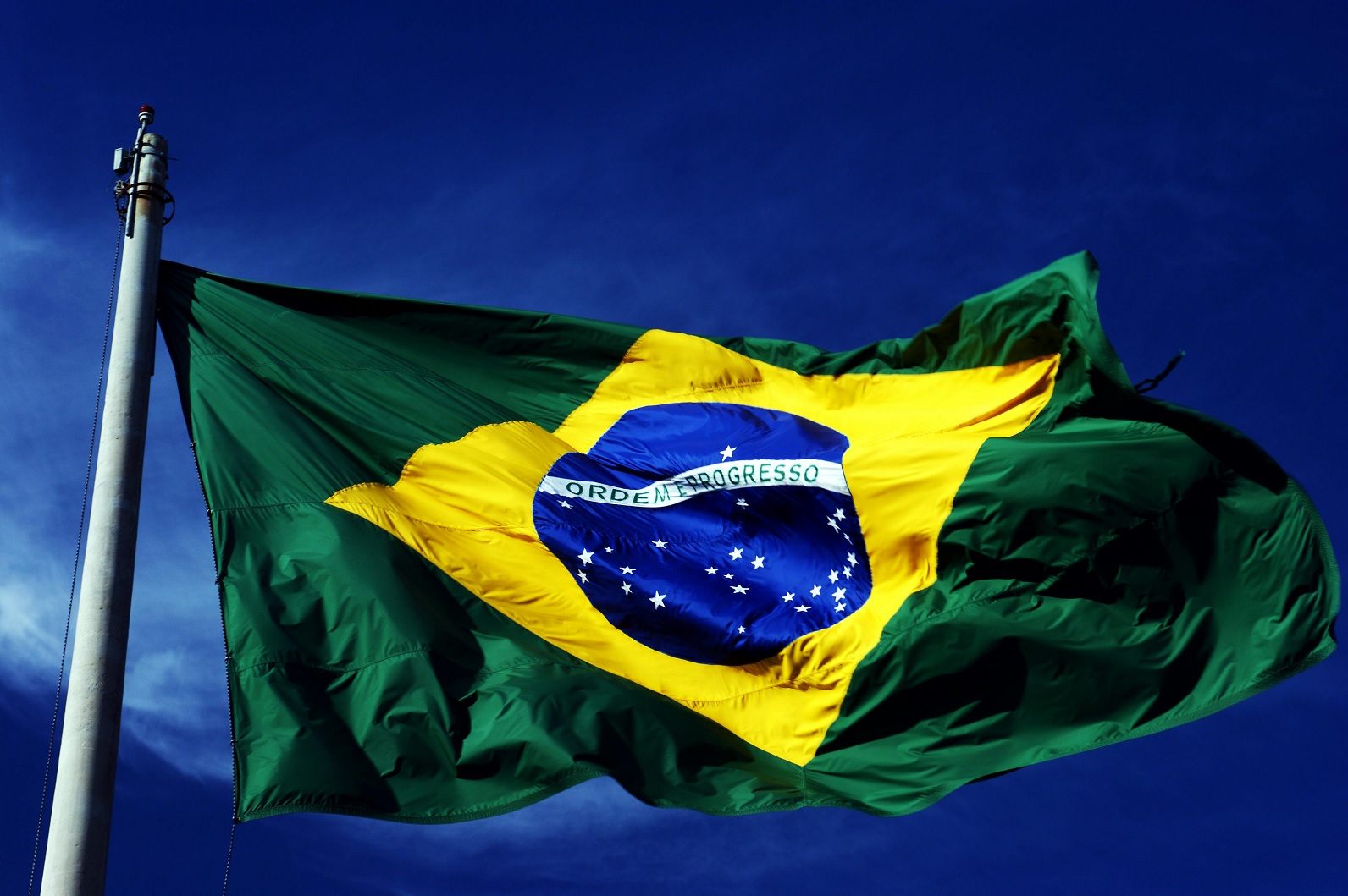 Egyptian, Brazilian FMs discuss expanding cooperation, Gaza ceasefire