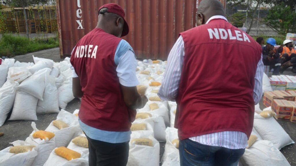 NDLEA Intercepts ₦5.3bn Cocaine Shipment