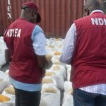NDLEA Intercepts ₦5.3bn Cocaine Shipment