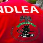 NDLEA smashes drug cartel, arrests 3 kingpins, seizes N5.3bn Australia-bound cocaine