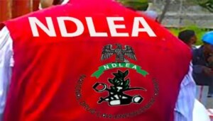 NDLEA smashes drug cartel, arrests 3 kingpins, seizes N5.3bn Australia-bound cocaine