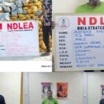 UK, UAE, Brazil’s drug cartel smashed in Lagos as NDLEA seizes N5.3bn Australia-bound cocaine, charms
