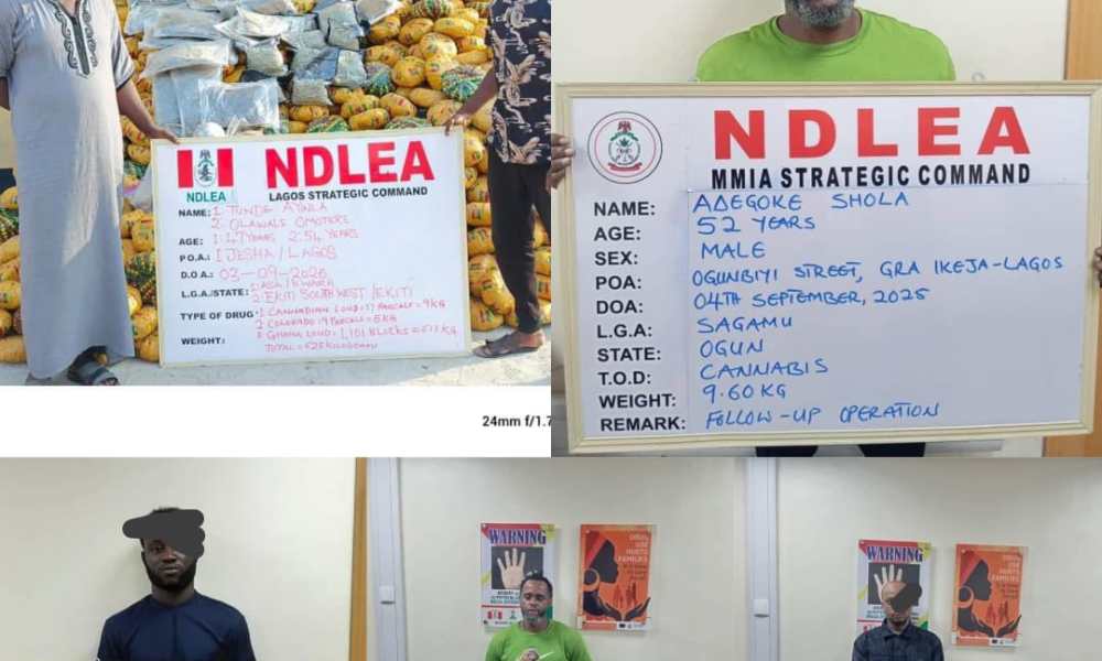 UK, UAE, Brazil’s drug cartel smashed in Lagos as NDLEA seizes N5.3bn Australia-bound cocaine, charms