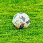 Genius Sports scores exclusive rights deal with European Leagues Association