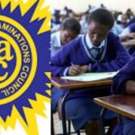 WAEC temporarily pulls 2025 WASSCE results over tech issues