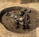 Archaeology breakthrough as 5,000-year-old sacrificial rituals found in Europe