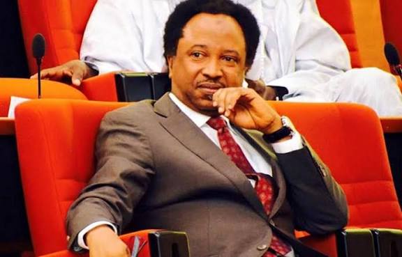 Shehu Sani Raises Alarm as FCT Introduces Tax for TVs, Domestic Appliances
