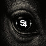 With S4 approach, London’s MSQ Partners emerges as dark horse in the agency race