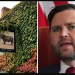 JD Vance Visits Cozy UK Pub What Happened Next Left Him Stunned