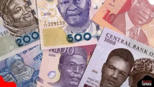 FX Update: Naira Gains to ₦1,555 per Dollar in Parallel Market