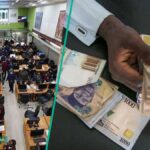 See why Nigeria stock market record first loss after 27 consecutive trading days