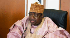 PVC only legitimate weapon in politics, not violence — Kebbi Gov, Idris