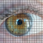 AMD Prevention: Which Strategies Help Keep Eye Disease at Bay?