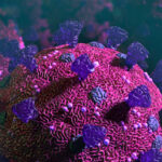Should We Be Concerned About the XFG COVID Variant?