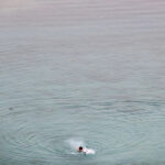 Shark attack leaves American tourist in Bahamas with ‘severe injuries’
