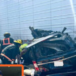 Report: Illegal Trucker Behind Fatal U-Turn Failed English Language Test