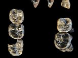 Missing chapter of human evolution dating back 2.8 million years uncovered in Africa