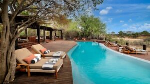If African safari is on your wish list, this lodge is worth every cent