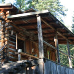 An Artist’s Woodland Escape